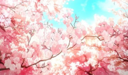 日本樱花动漫,绽放的青春与梦想